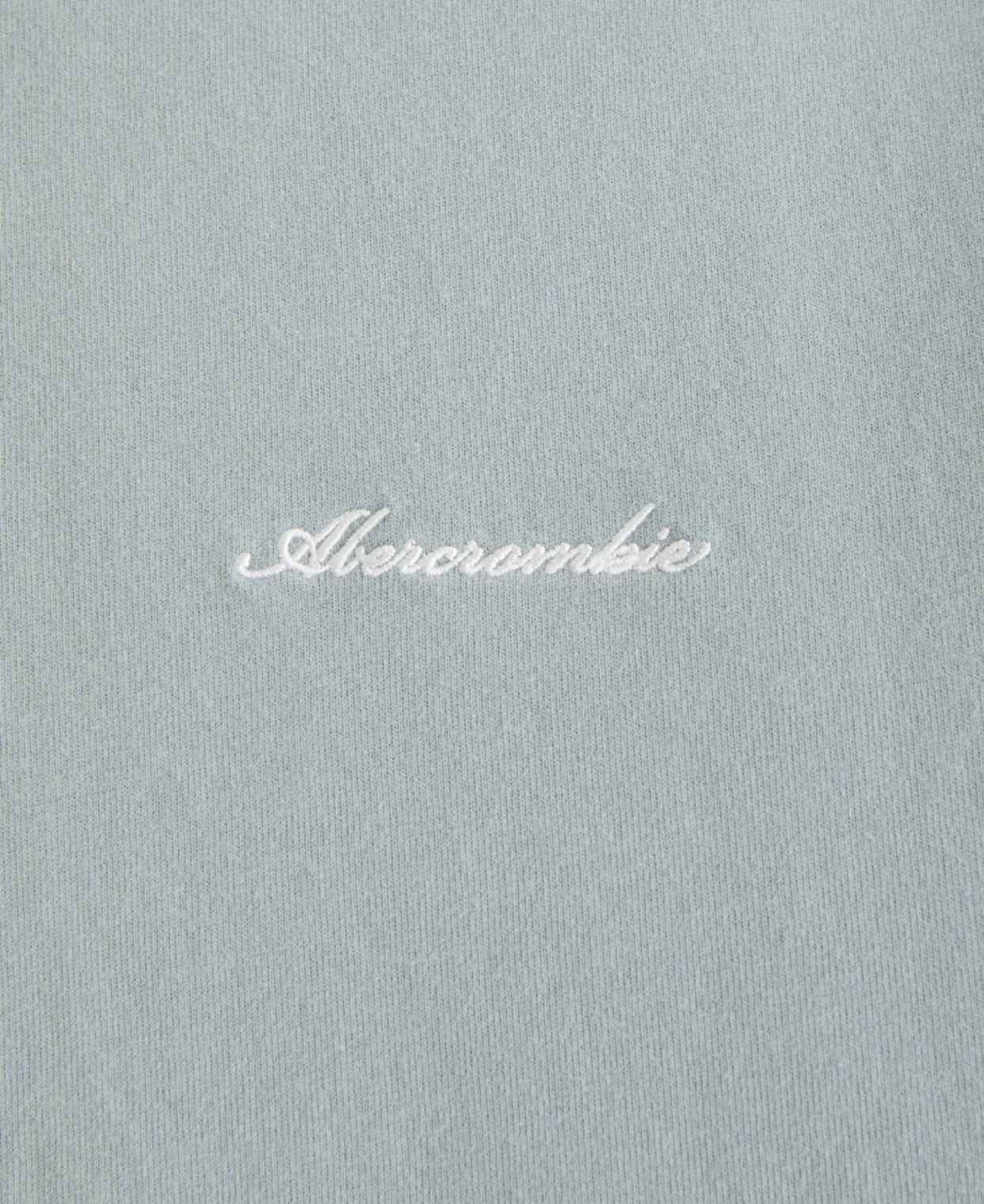 Abercrombie Fitch - Premium Heavyweight Micro-Logo Tee