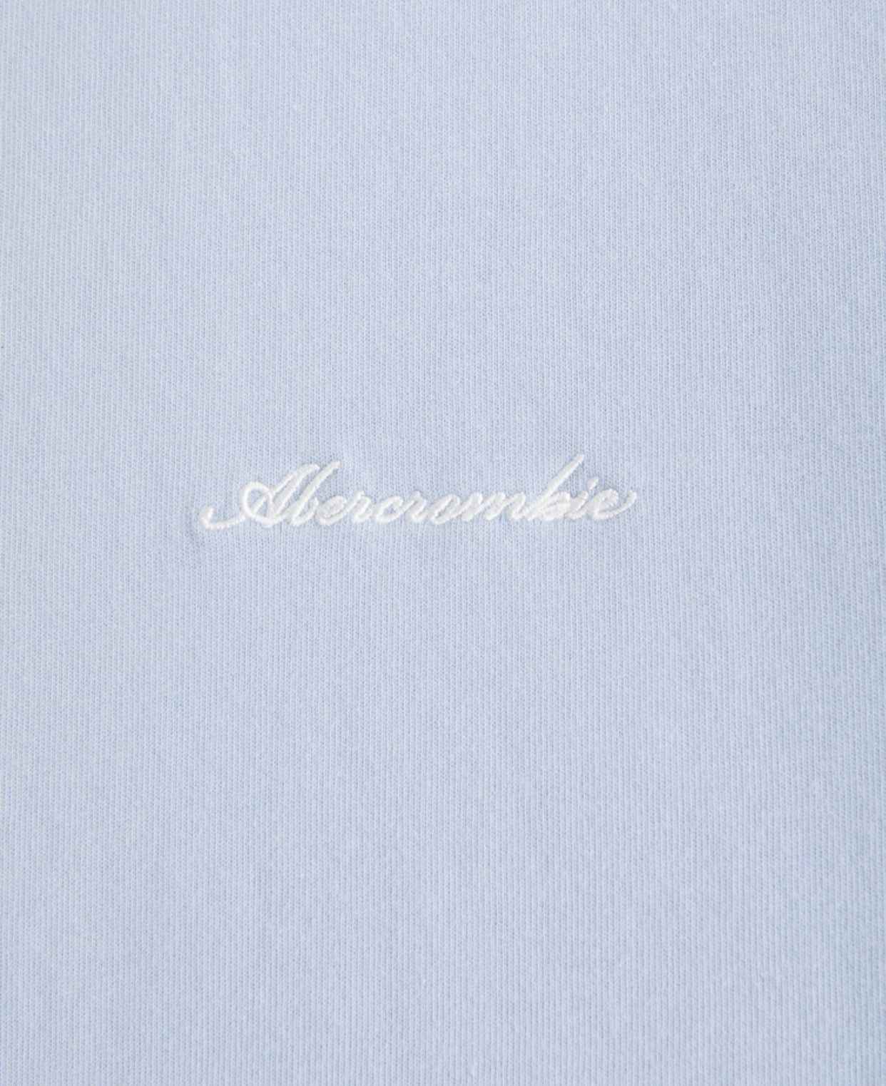 Abercrombie Fitch - Premium Heavyweight Micro-Logo Tee