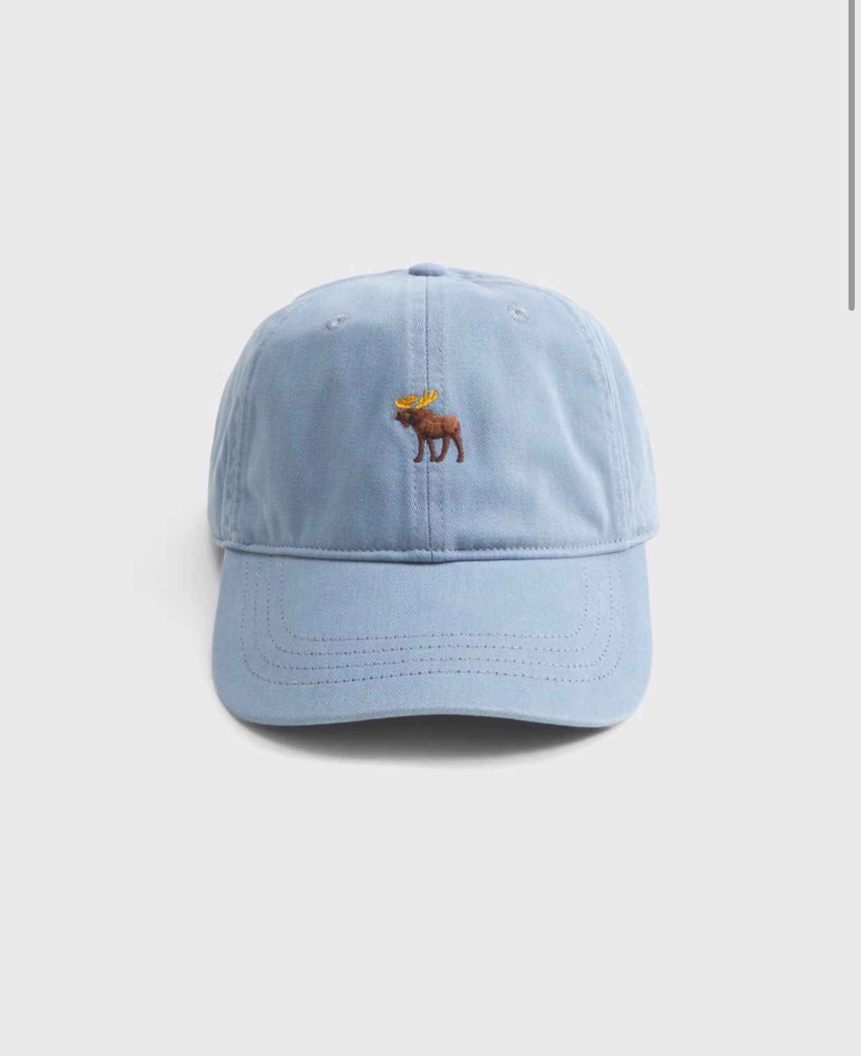 Abercrombie & Fitch - Icon Baseball Hat