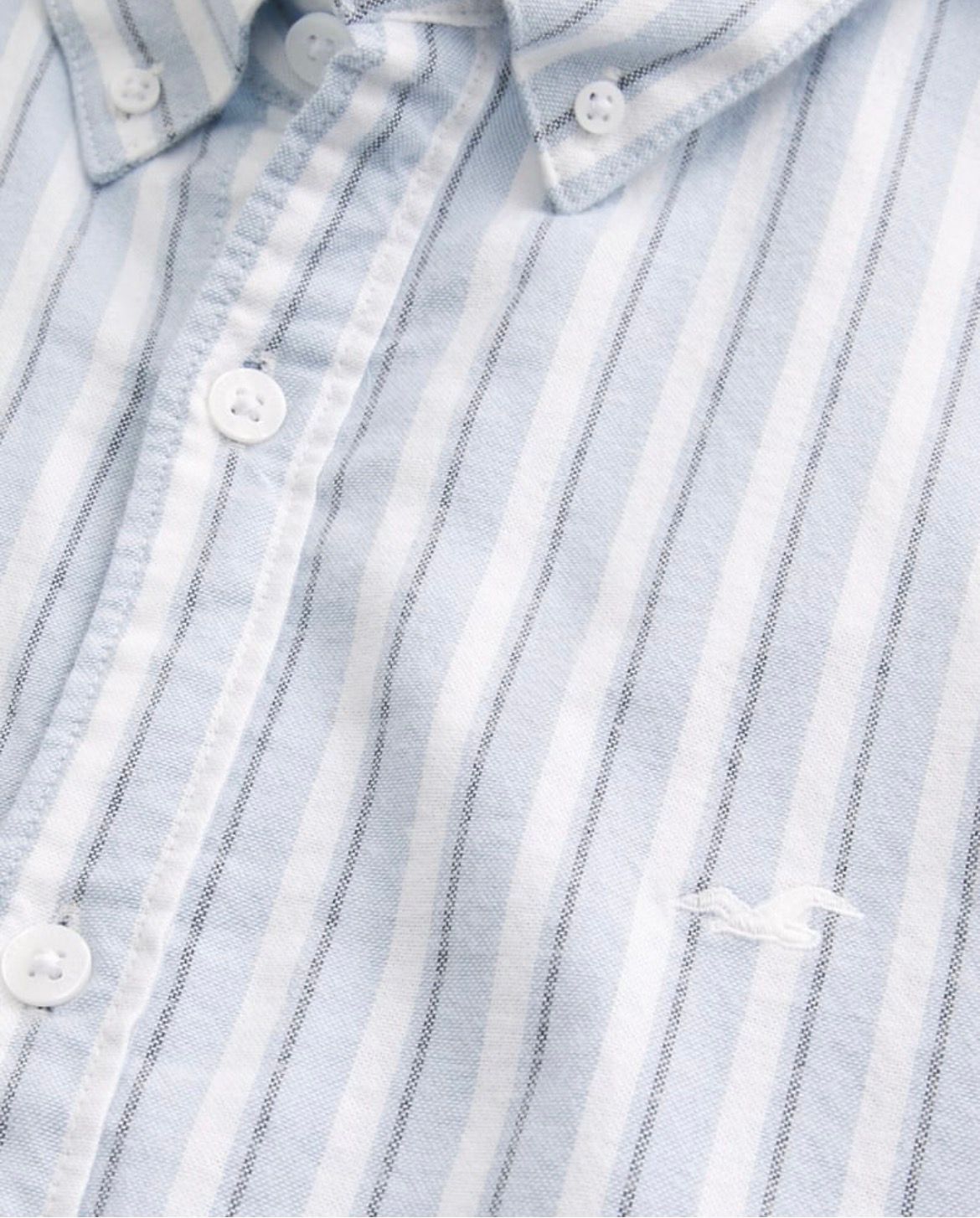 Hollister - Icon Oxford Shirt IMMEDIATE
