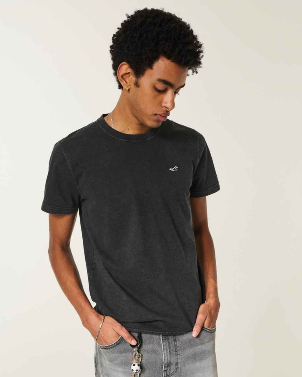 Hollister - Icon Crew T-Shirt IMMEDIATE