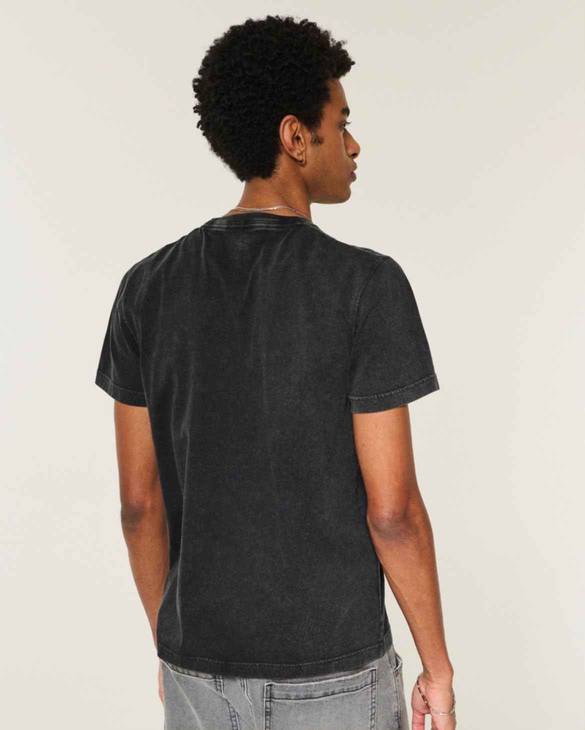Hollister - Icon Crew T-Shirt IMMEDIATE